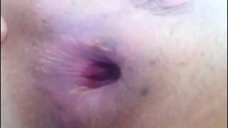 ���र्न प्रयास मा डाल, गधा बाहिर