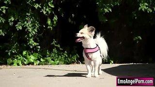 Пошкудо пӧртыштӧ сӱретлымым муаш шкетын мотор миниатюр пий дене.Тудо пошкудыжым ынеж награде, нунын шке вургемжым кудаш налыныт, а вара тудым пошкудо логар бигкок пӱчкын.Кӱтӱчӧ да тудым пеҥгыдын вашешта да тудым келгын пошкудо киска шичмеш, тудлан огеш пытаре.